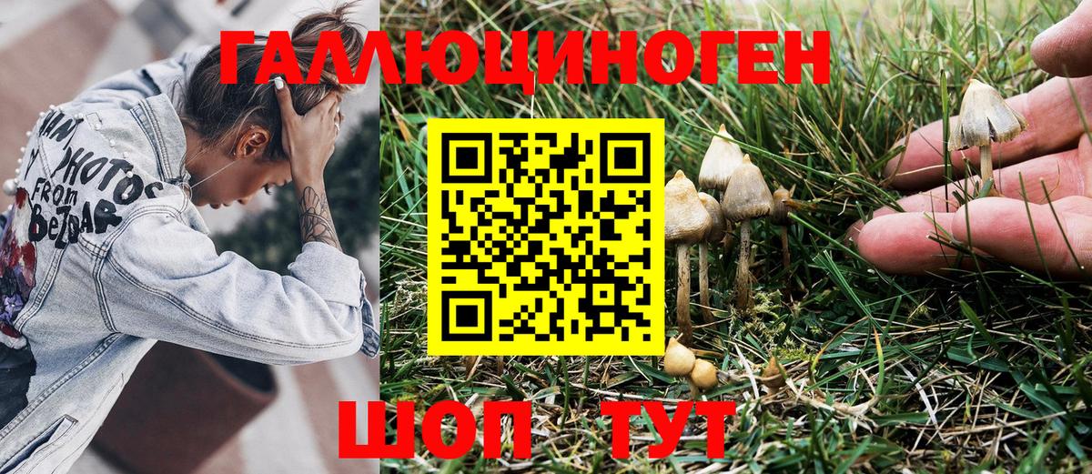 Сарапул  Псилоцибиновые грибы Magic Shrooms  закладки  Вход с VPN 